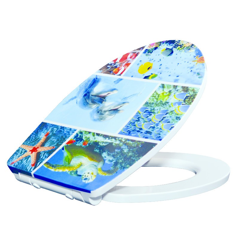 How to properly care for your toilet seat