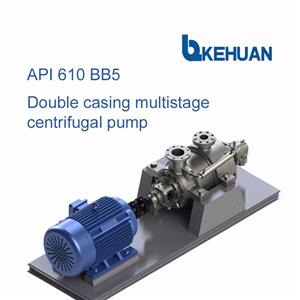 API610 BB5 Double Casing Multistage Barrel Centrifugal Pump