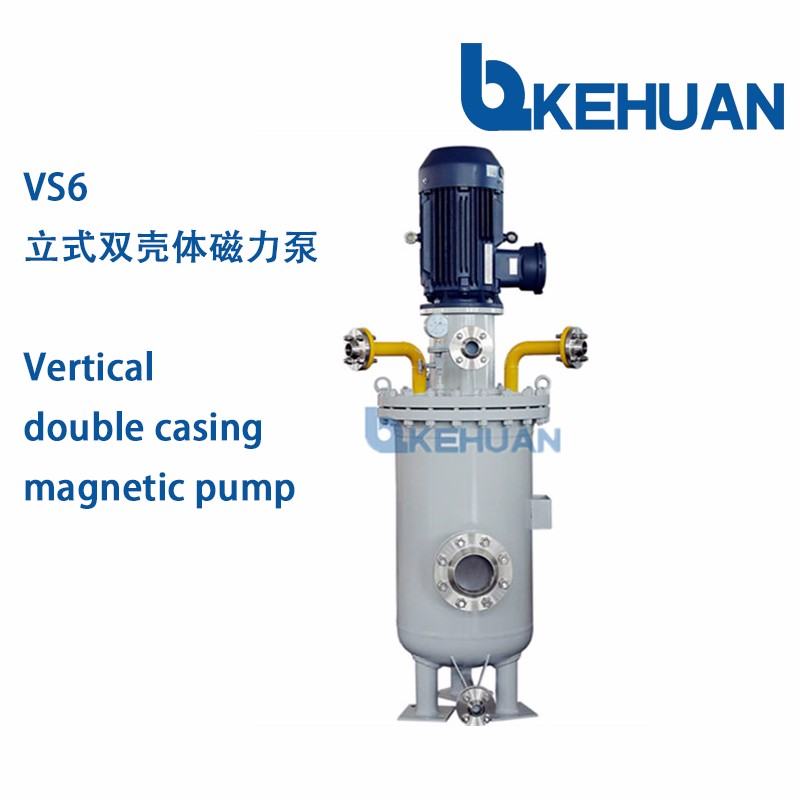 Bomba magnética de invólucro duplo vertical API685 VS6