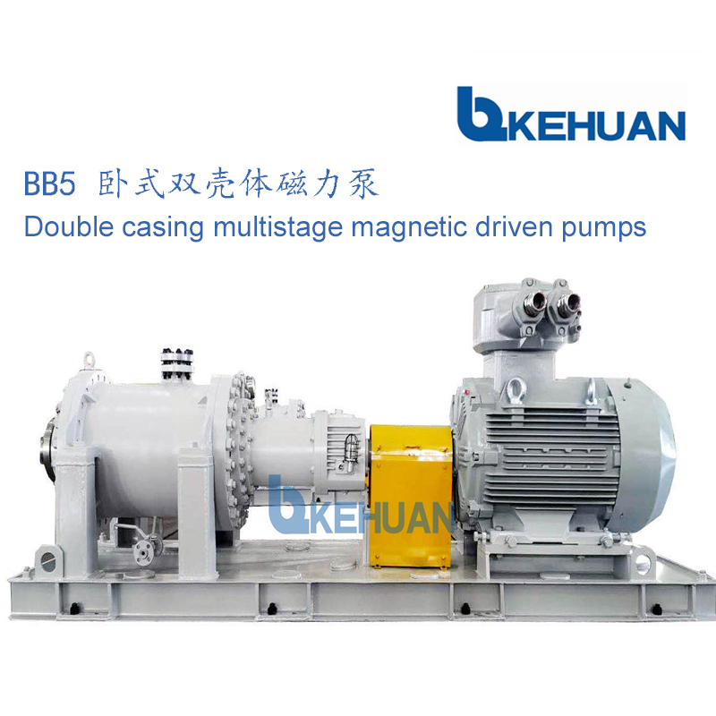 Double casing multistage Magnetic pump