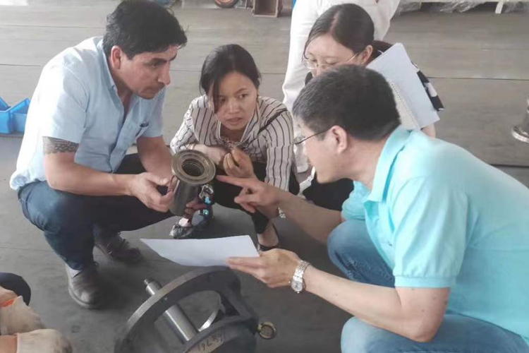 PROFESSIONAL TECHNICIANS EXPLAIN TO CUSTOMERS