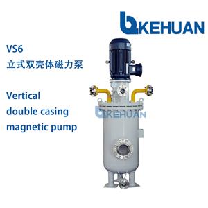Pompa magnetica verticale a doppio corpo