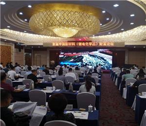 Participated in Participated in the first China New Materials (Lithium Battery Chemicals) Conference