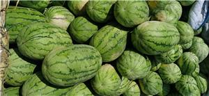 Customers send watermelon, cool and sweet to the heart