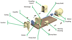 Proper Pump Selection: Avoid Oversizing Your Pumps