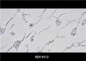 Hnedá kremenná kamenná doska