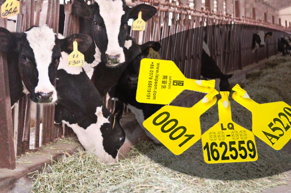 z-type cattle ear tag