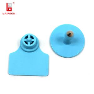 Widoczne dwuczęściowe kolczyki Tag dla owiec owiec Buck