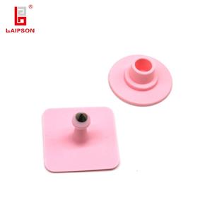 Tag Telinga Jantan Babi Babi Babi Persegi 32mm Dengan Hujung Logam