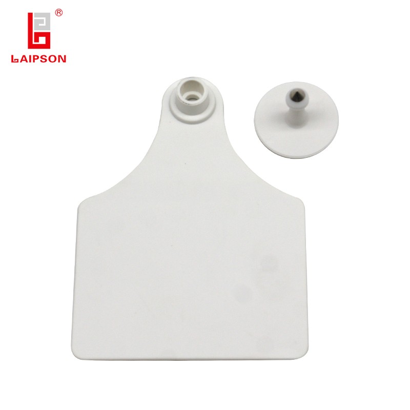 High Quality Big Size Ear Tag For Bull Cattle Manufacturers, High Quality Big Size Ear Tag For Bull Cattle Factory, Supply High Quality Big Size Ear Tag For Bull Cattle
