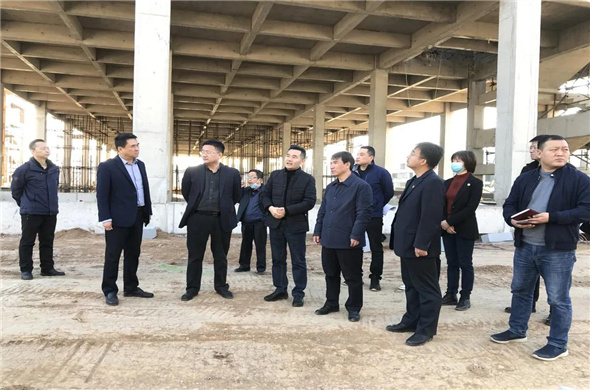 Komitet Partii Okręgowej Luolong odwiedza nowoczesny projekt biologicznego uprzemysłowienia w celu kontroli i dochodzenia