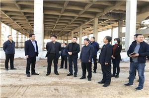 Komitet Partii Okręgowej Luolong odwiedza nowoczesny projekt biologicznego uprzemysłowienia w celu kontroli i dochodzenia