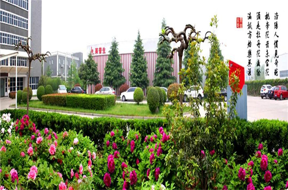 Laipson został pomyślnie utworzony jako specjalne nowe przedsiębiorstwo „małego giganta” w prowincji Henan