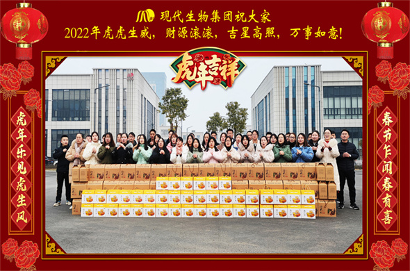 Ogłoszenie o świątecznym festiwalu Laipson