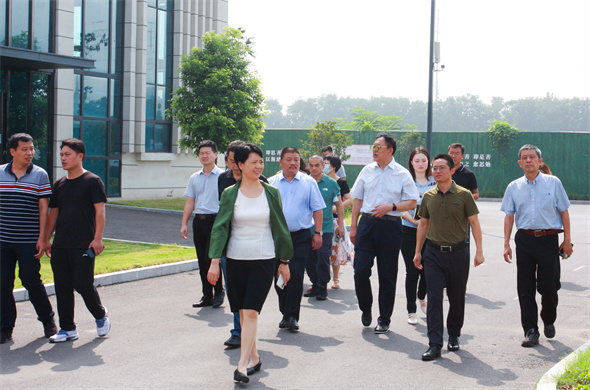 Grupa badawcza Ogólnochińskiej Federacji Przemysłu i Handlu odwiedziła Luoyang Laipson