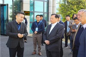 Senior Vice Chairman of CP group Xie Bing and his party came to the in-depth exchange of Laipson