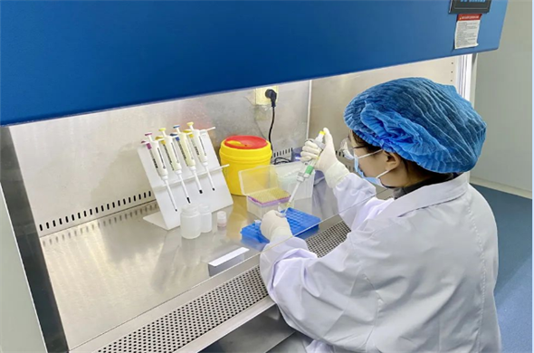 Non-pestilence precision testing, select Boce Test!