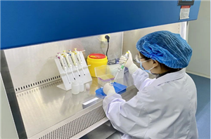 Non-pestilence precision testing, select Boce Test!