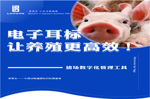Electronic ear tags, make the pig farm more efficient breeding!