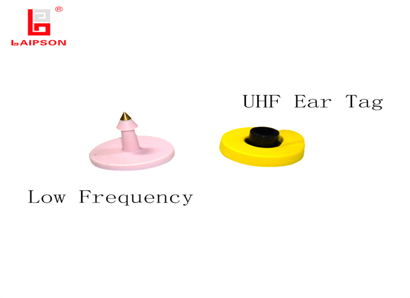 30mm FDX-B ear tag