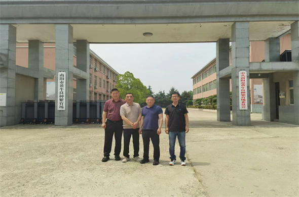 Laipson cattle cow smart farming solution case sharing