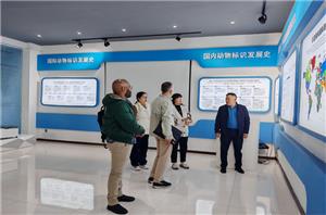 Our overseas clients to visit Laipson in early Winter