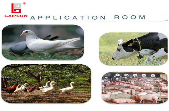 The development of RFID technology in animal husbandry information management