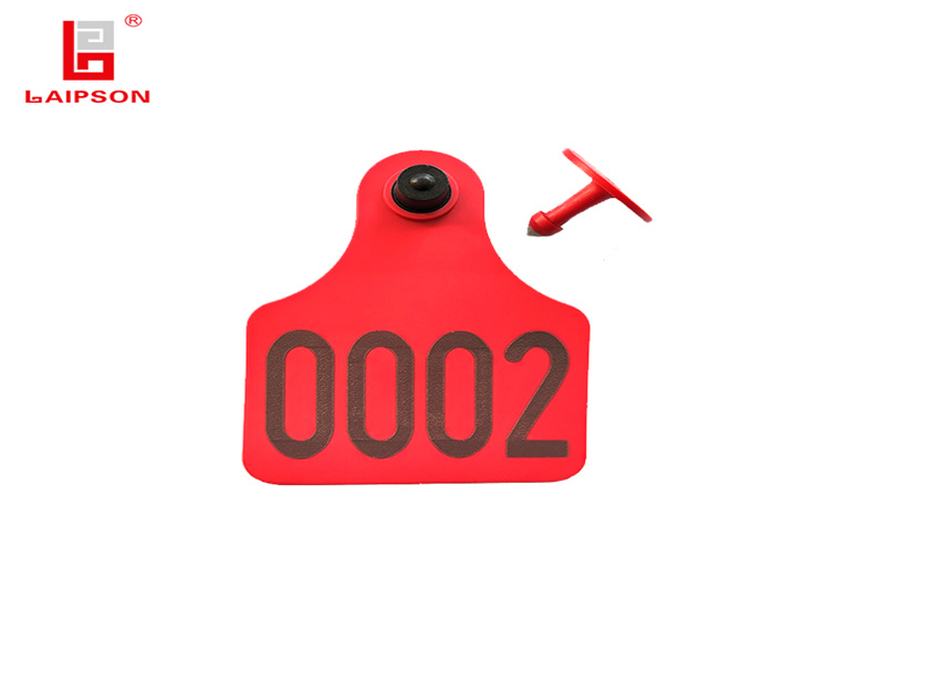 visual cow ear tag