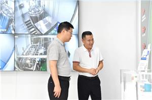 Deputy Mayor Wang Hui of Luoyang City investigates Laipson