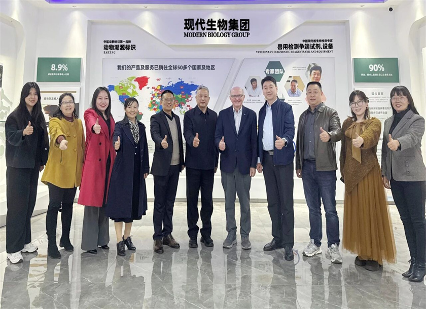 visual cattle ear tag