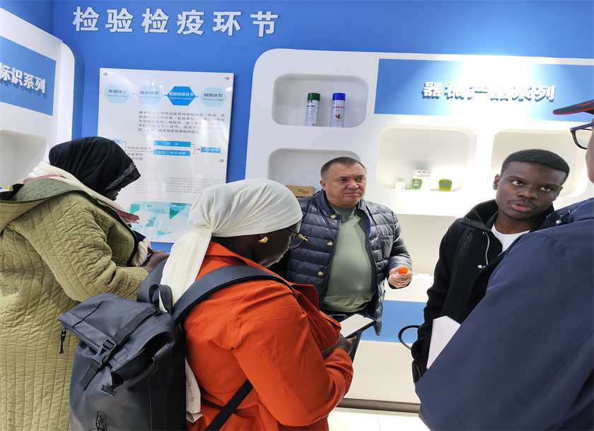 visual cattle ear tag