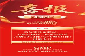 Congratulations to Worpson for obtaining the vaccine number of the duck paste big II bivalent inactivated vaccine