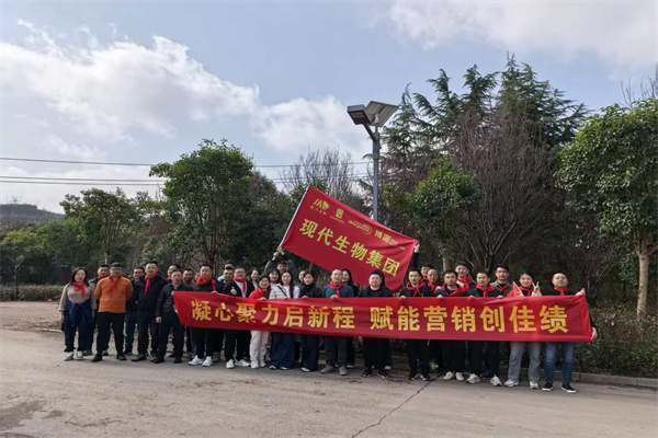 Unite our hearts and pool our strength to embark，Laipson Sales Team Team Building Activity.