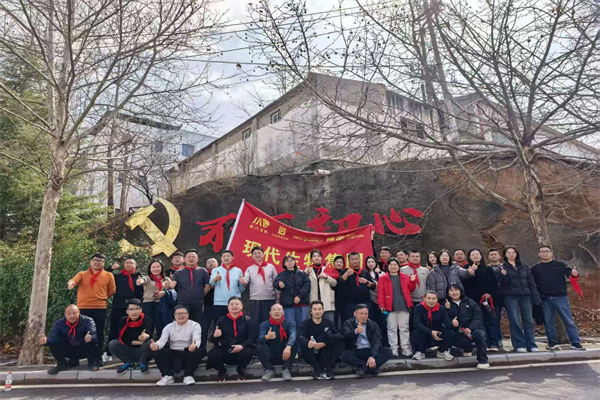 visual cattle ear tag