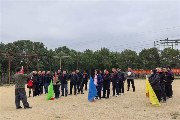 visual cattle ear tag