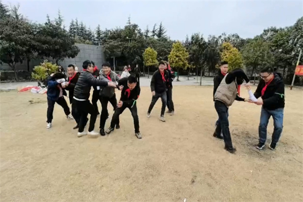 rfid cow ear tag for farm