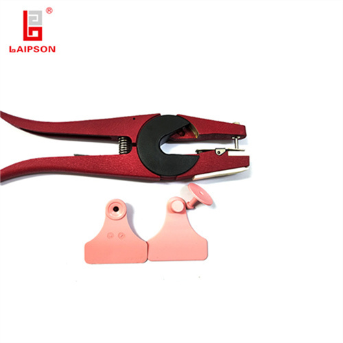 pig ear tag for cow