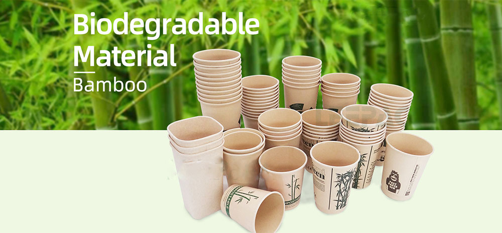 biodegradable plastic cup