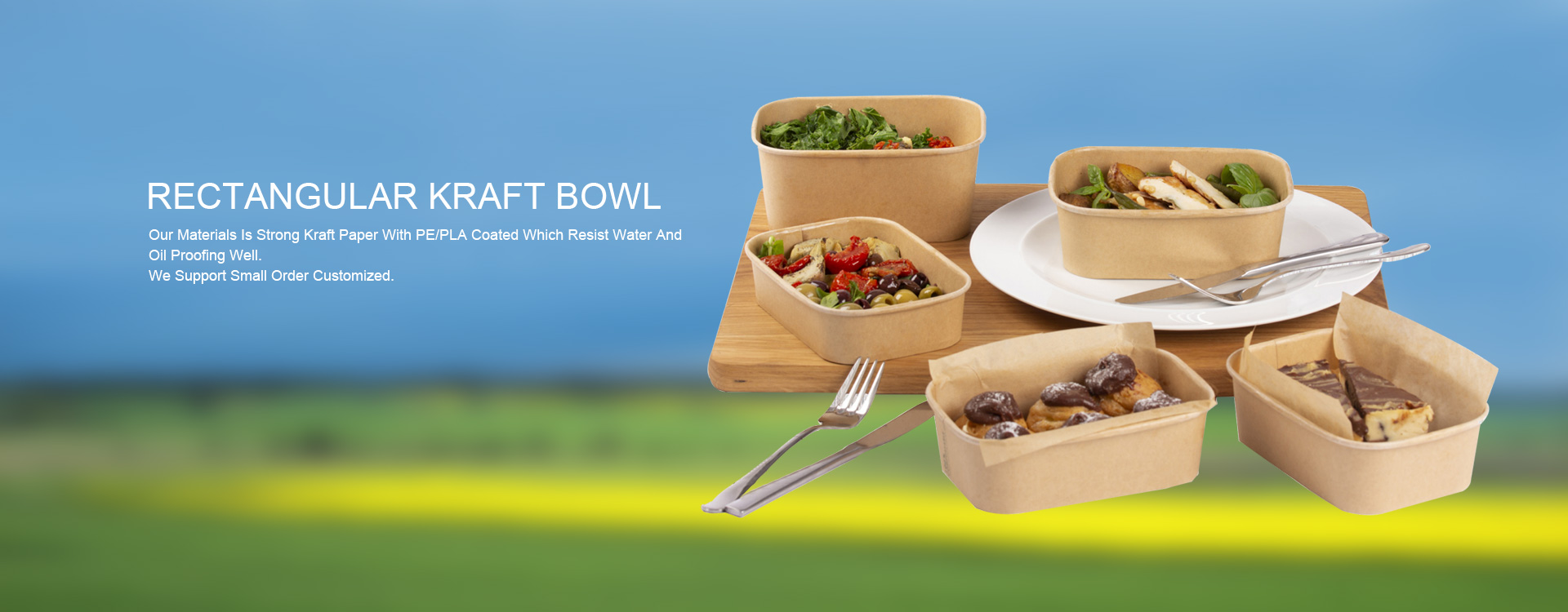 Food salad and soup bowl Container and Box