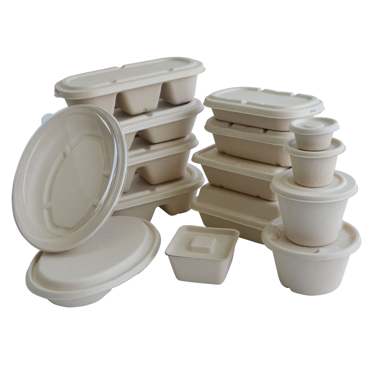 Sugarcane Tableware Luch Box Bowls Tray And Cup