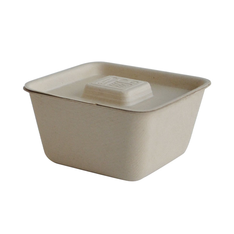 Sugarcane Tableware Luch Box Bowls Tray And Cup