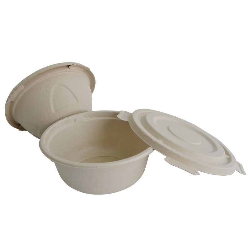 Sugarcane Tableware Luch Box Bowls Tray And Cup