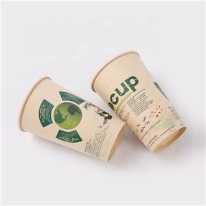 Biodegradable Plastic Bottles Transparent Bubble Tea Cup PLA Mugs