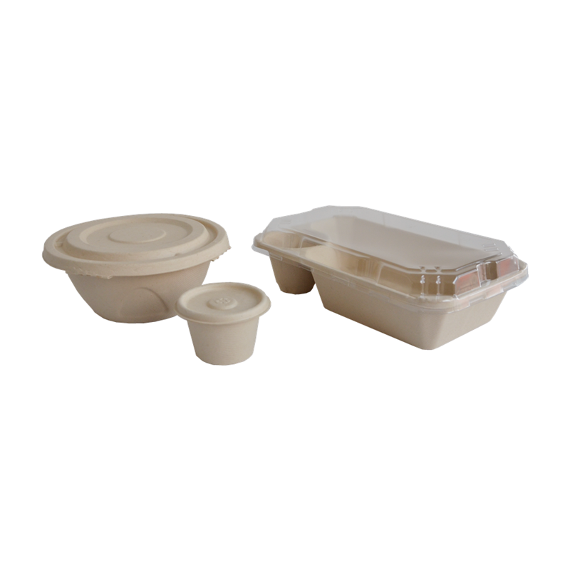 Disposable Sugarcane Bagasse Tableware Plates