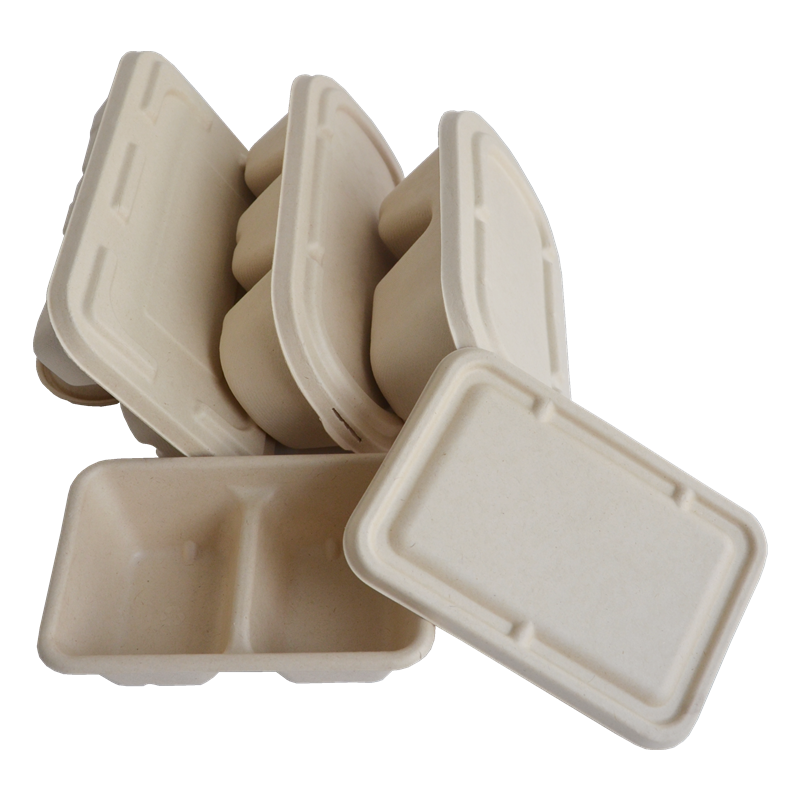 Disposable Sugarcane Bagasse Tableware Plates