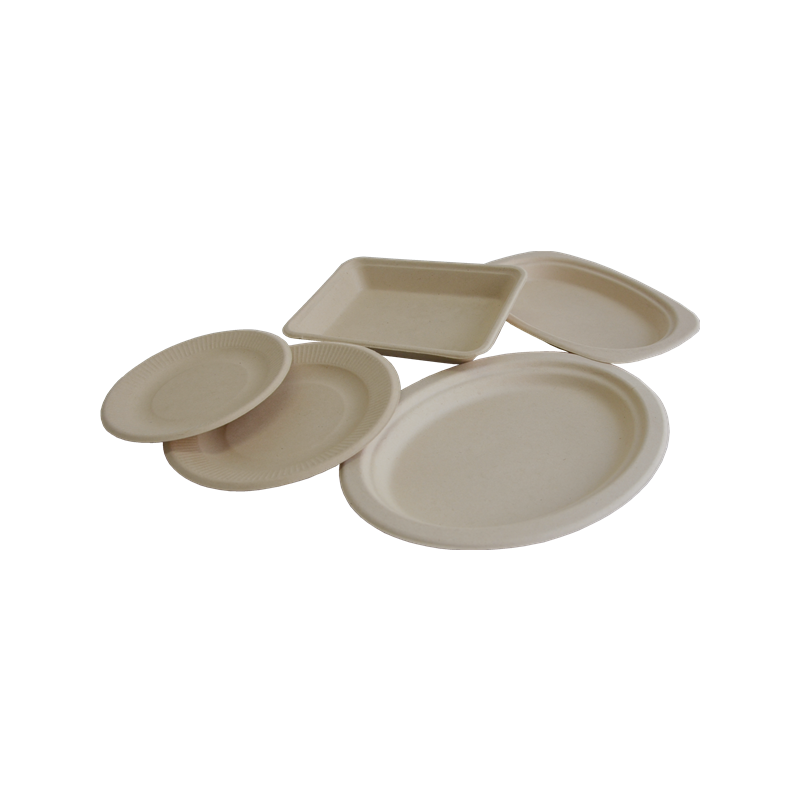 Disposable Sugarcane Bagasse Tableware Plates