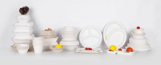 bagasse surgarance tableware compostable