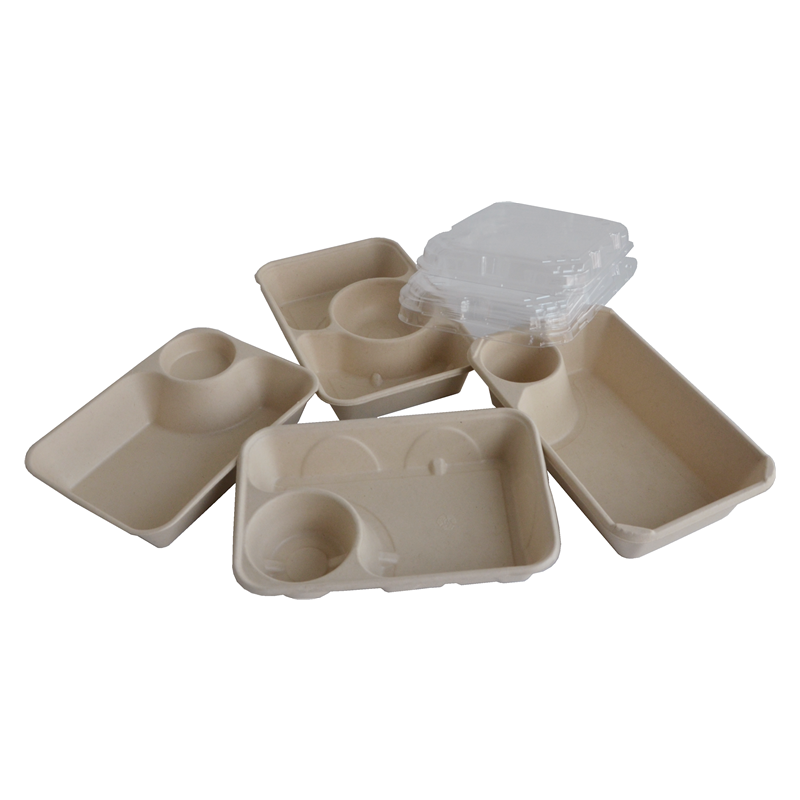 bagasse disposable plates