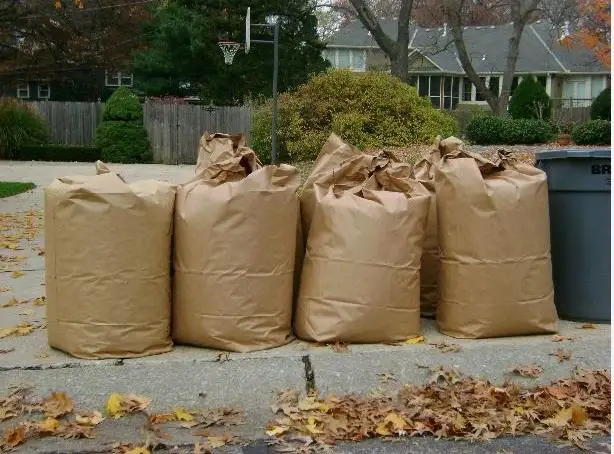 Leaf trash bag