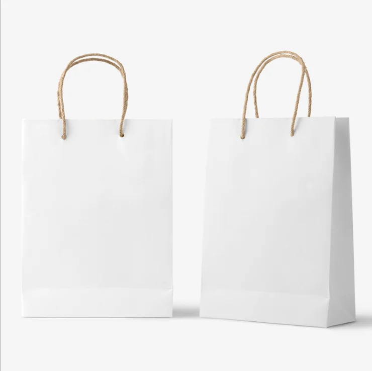 Kraft Paper Twisted Handle Carrier Bag White and Brown Printed Logo paper container